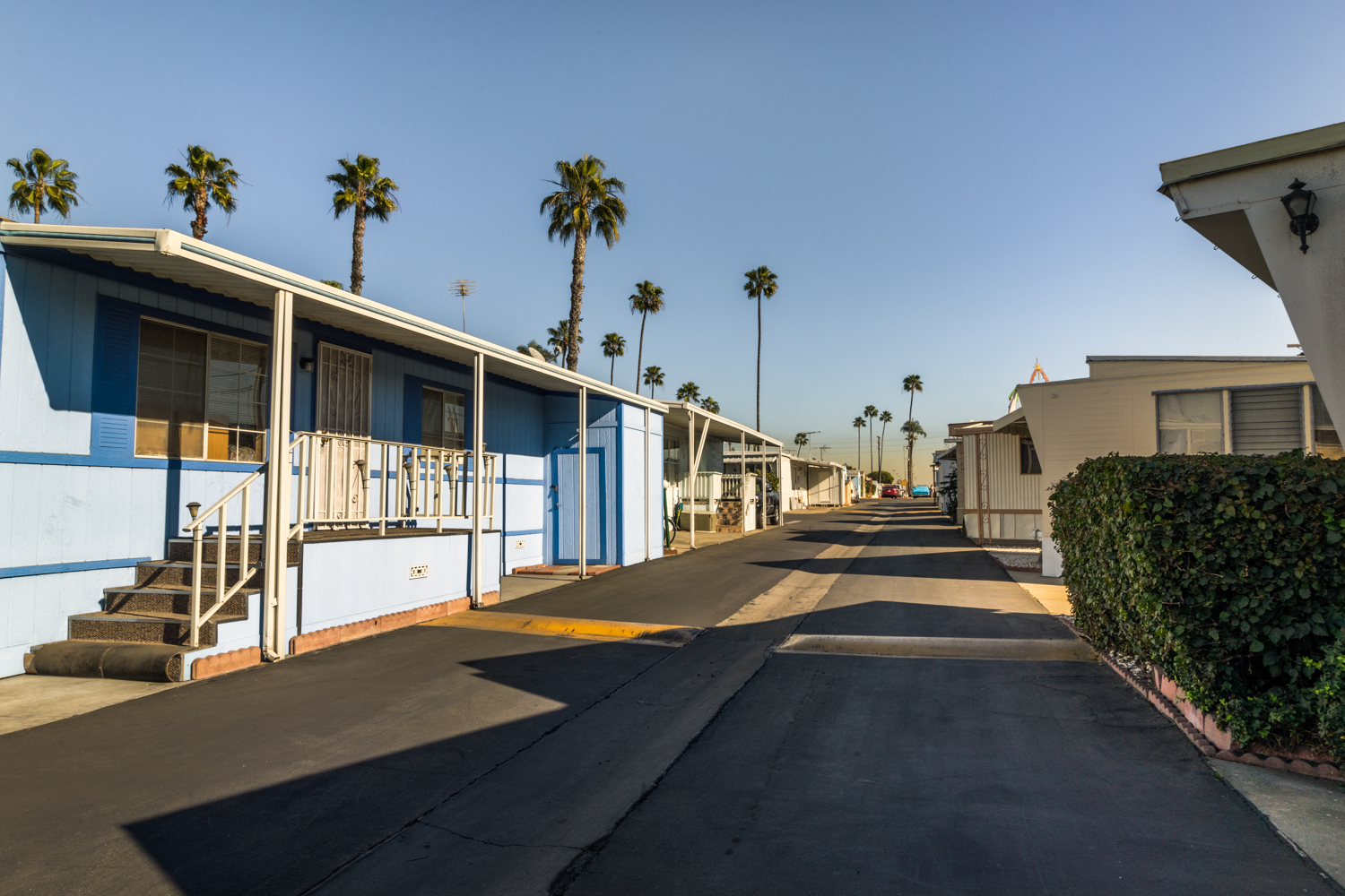 Kathleen-Tunnell-Handel