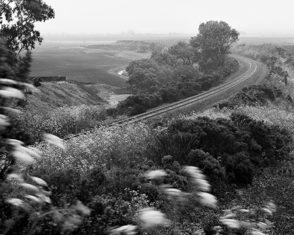 Maria-Isabel-Leblanc