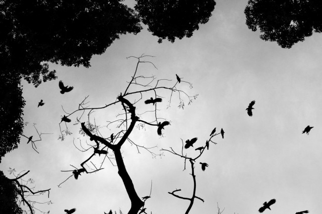 Mohammad-Rakibul-Hasan