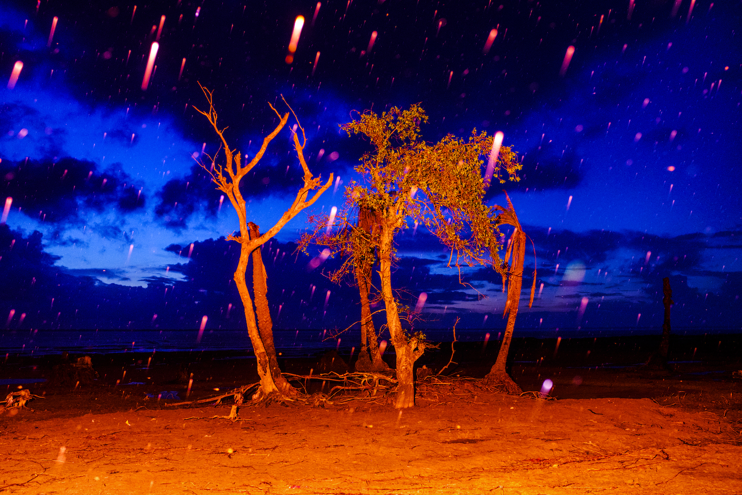 Willemijn-Van-Der-Zwaan