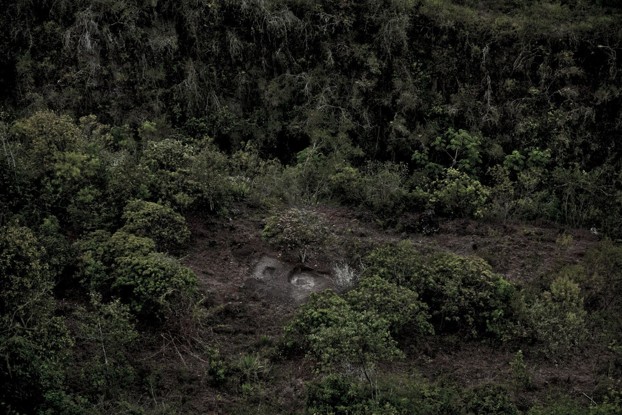 Max-Cabello-Orcasitas