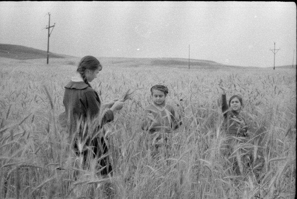 Guram-Tsibakhashvili