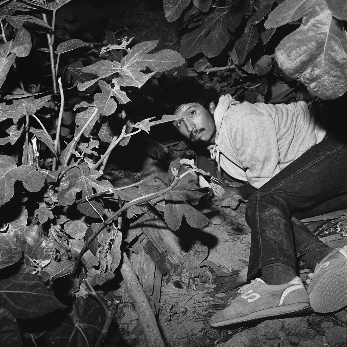 Portfolios-Galleries