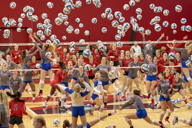 Portfolios-Galleries