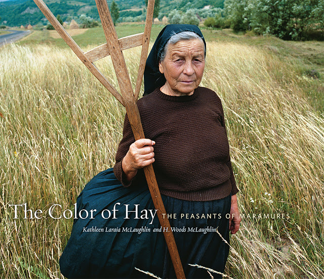 Kathleen-Laraia-Mclaughlin