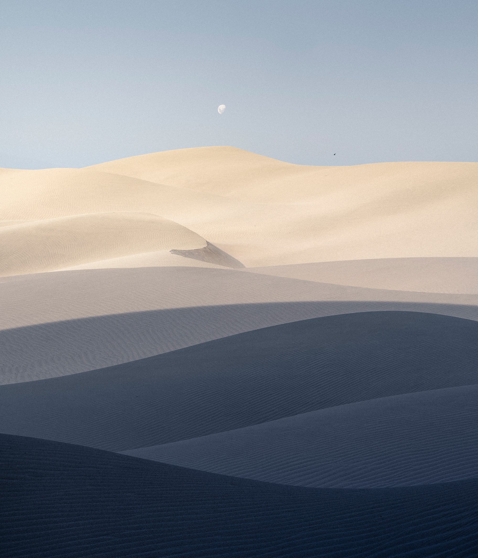 Benjamin-Briones-Grandi