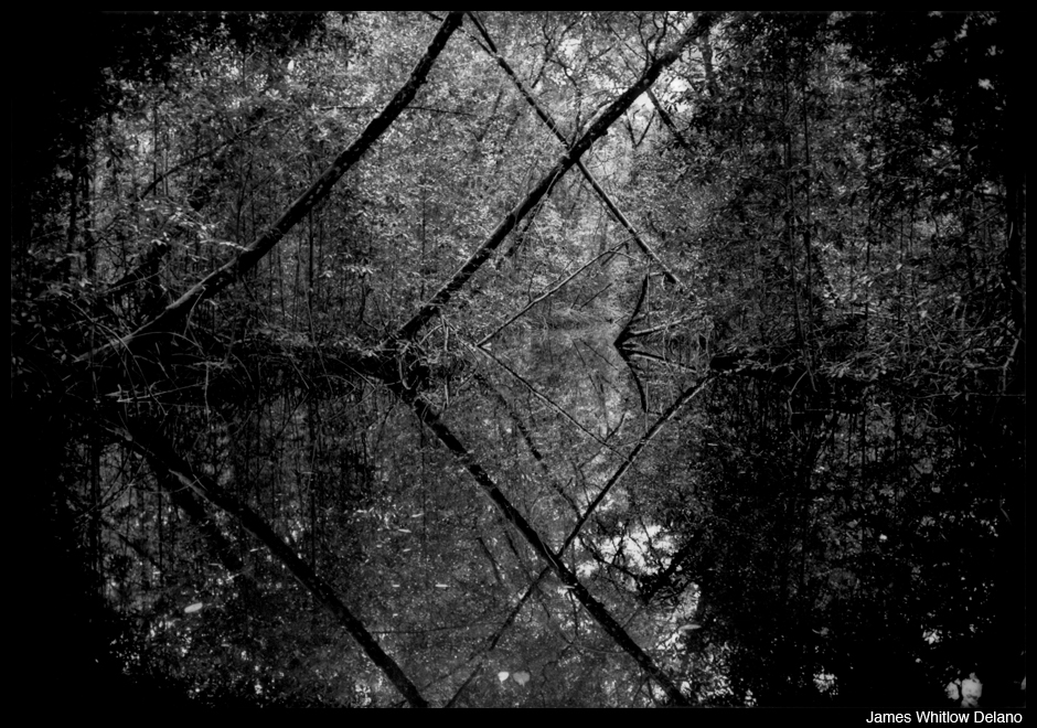 James-Whitlow-Delano