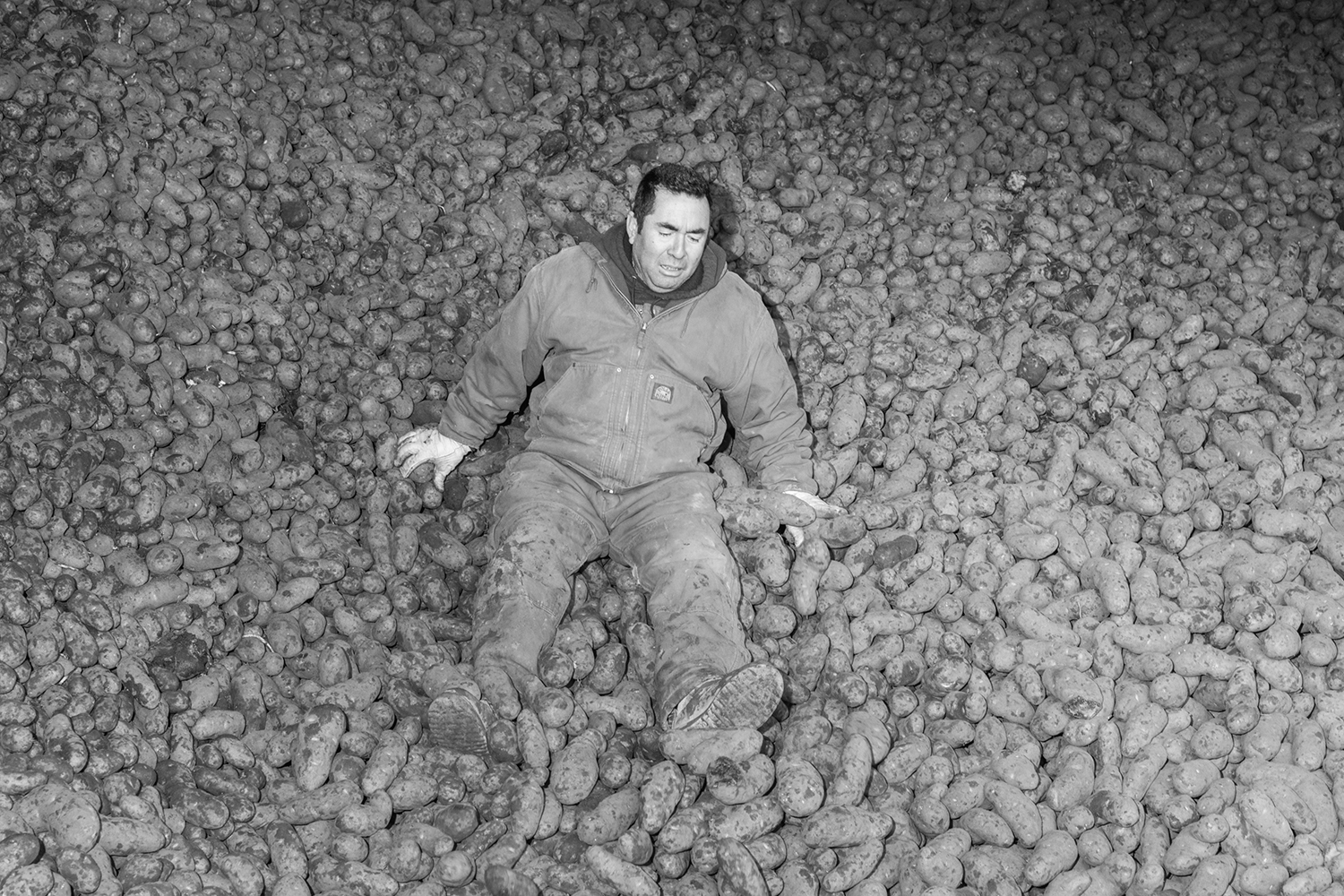 Portfolios-Galleries