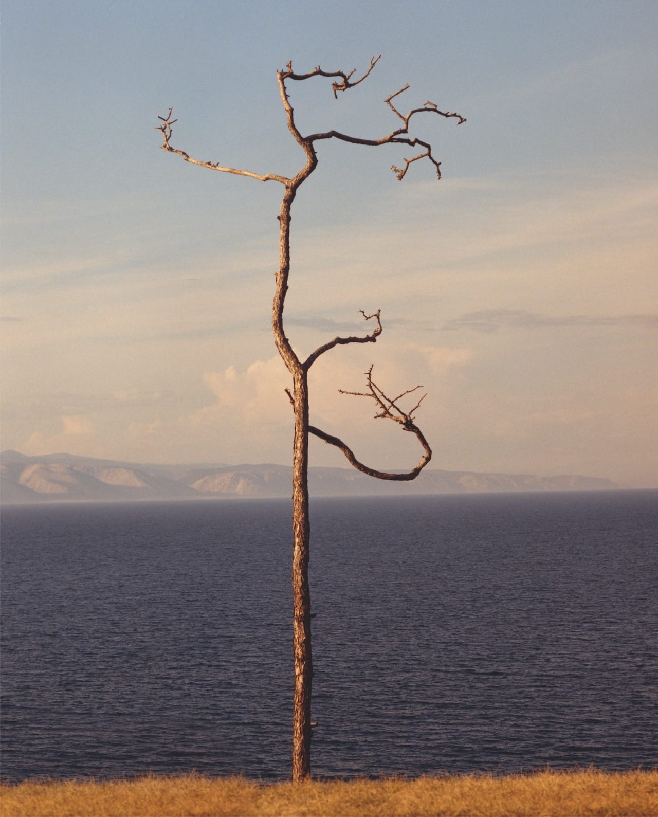 Cecile-Poimboeuf-Koizumi