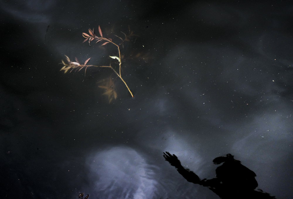 Kristen-Van-Den-Eede