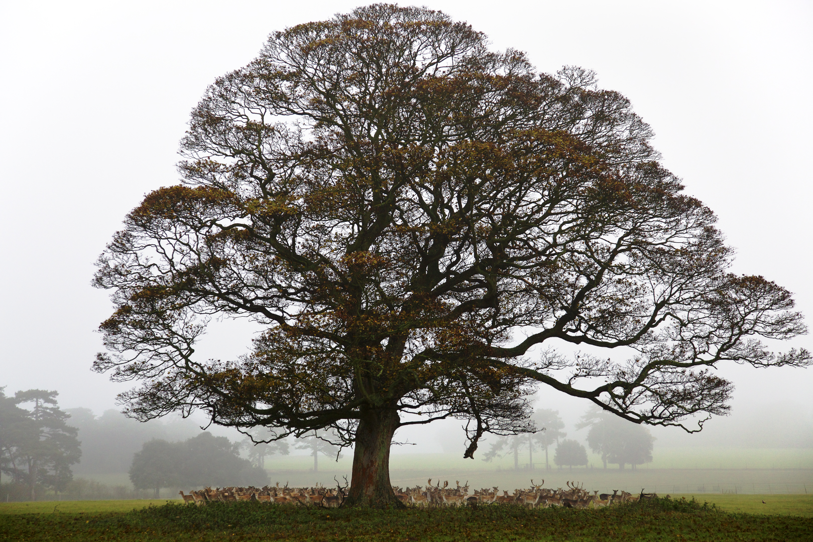 Chris-Steele-Perkins