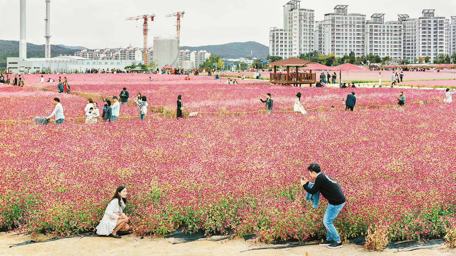 Joshua-Rashaad-Mcfadden