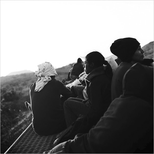 Michelle-Frankfurter