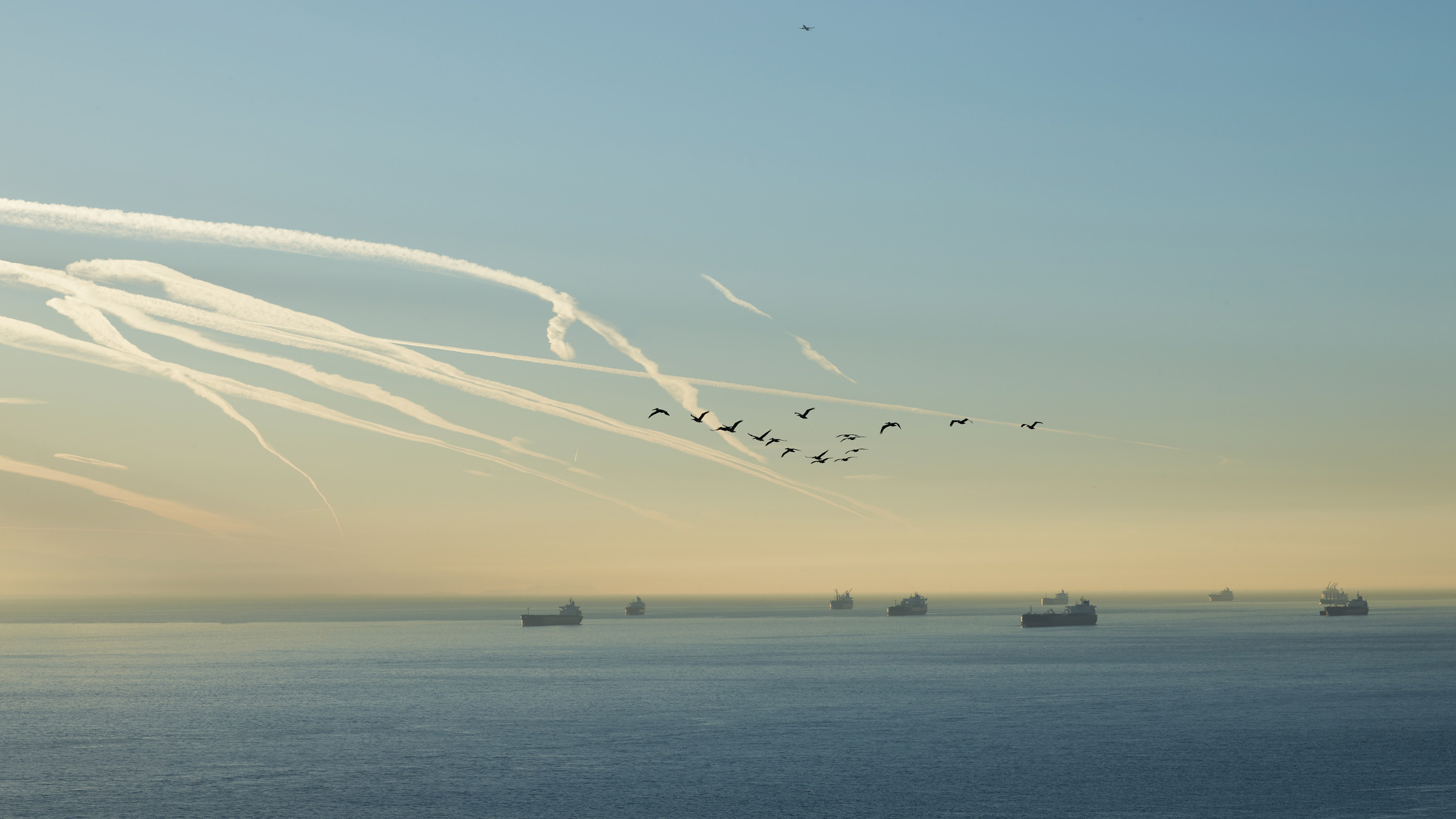 Portfolios-Galleries