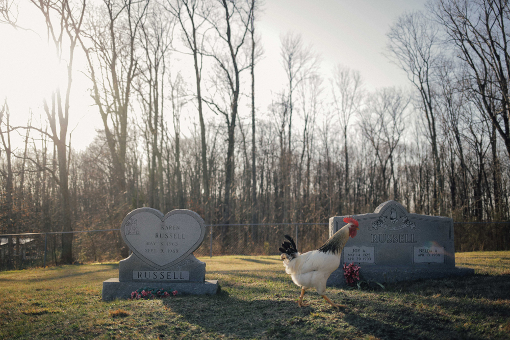 Elaine-Mcmillion-Sheldon