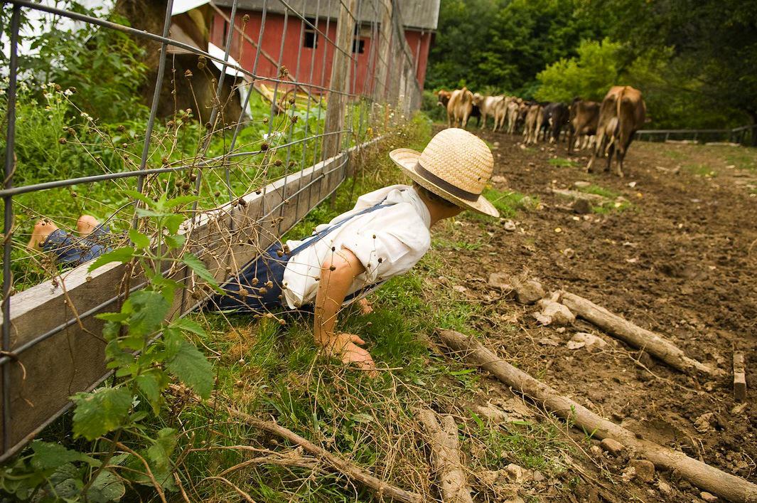 David Nevala photographs children on an Amish farm in Wisconsin.