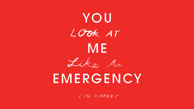 Interview with Cig Harvey: YOU Look At ME Like An EMERGENCY