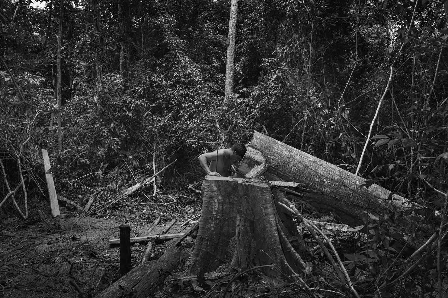 Darkly poetic photos show what life is like in the Brazilian Amazon – The Washington Post