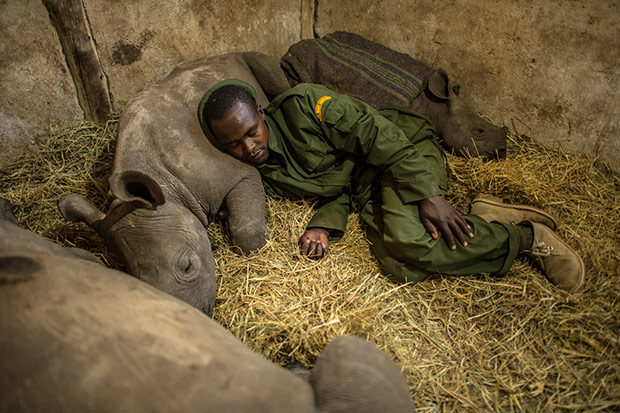 A National Geographic Photographer’s Quest To Combat Illegal Poaching in Kenya