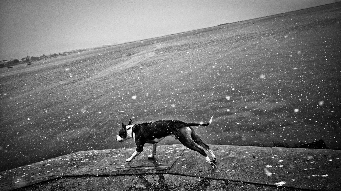 Cedric Gerbehaye’s Photographs of Winter in Sete