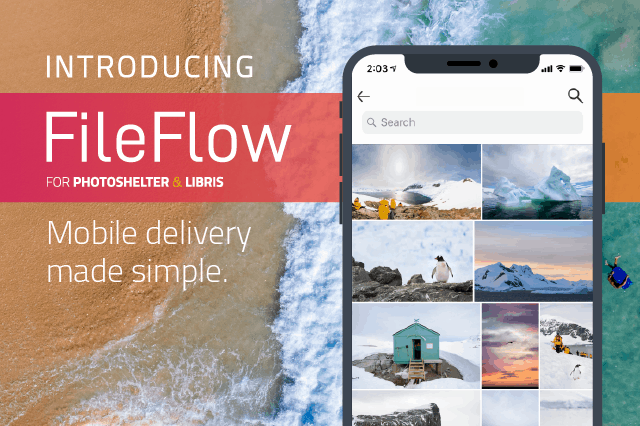 Introducing the FileFlow App: Search, Download and Share Photos Instantly – PhotoShelter Blog