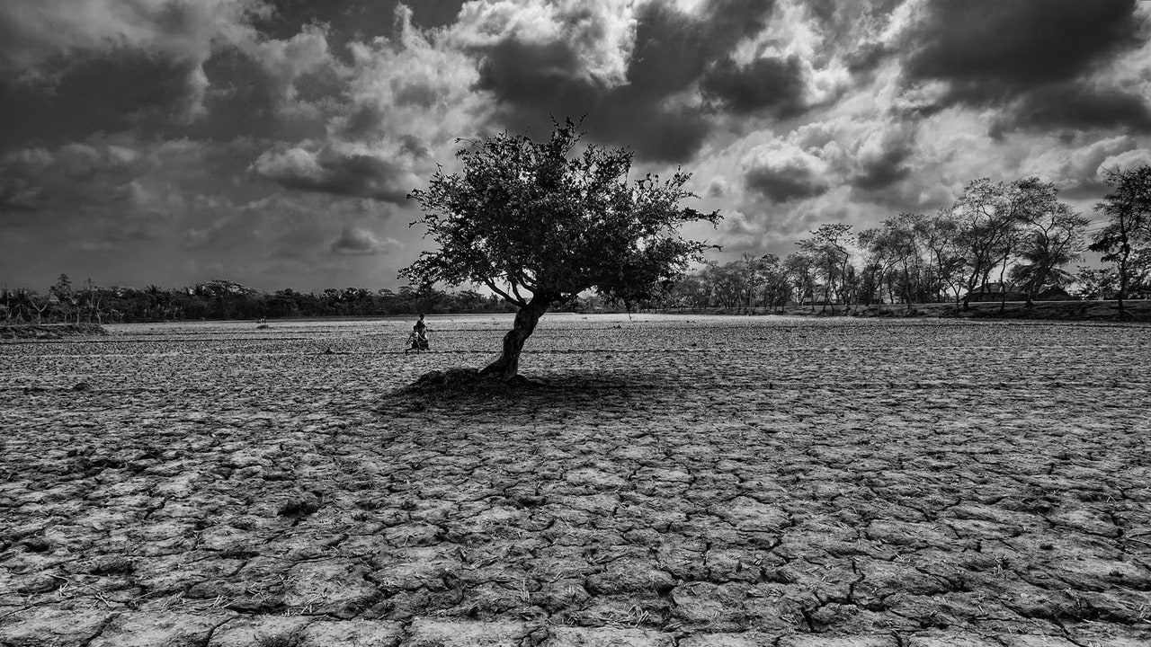 Climate Fury: Devastation in the Sundarbans, Bangladesh