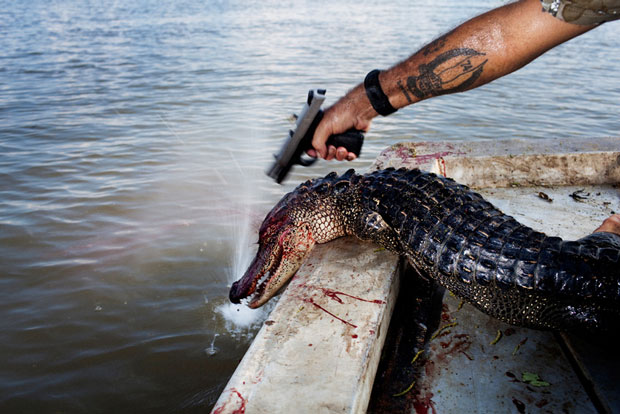 A Look Inside the Gritty World of Alligator Hunting in Louisiana