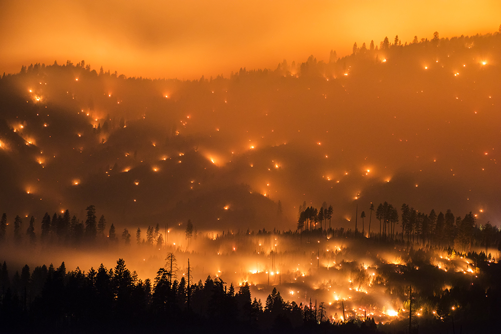 Facing Fire: Art, Wildfire, and the End of Nature in the New West | LENSCRATCH