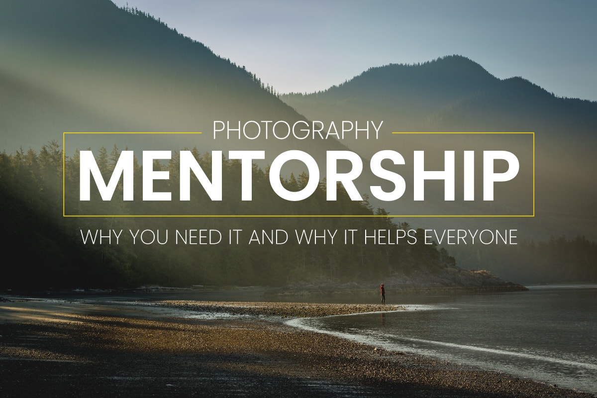 New Guide! Photography Mentorship: Why You Need it and Why it Helps Everyone – PhotoShelter Blog