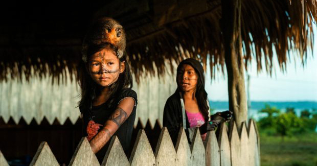 A Portrait of the Amazon on the Brink of Catastrophic Change – Feature Shoot