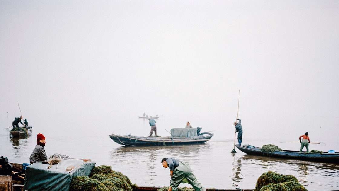 The Many Lives Along the Yangtze River – The New Yorker