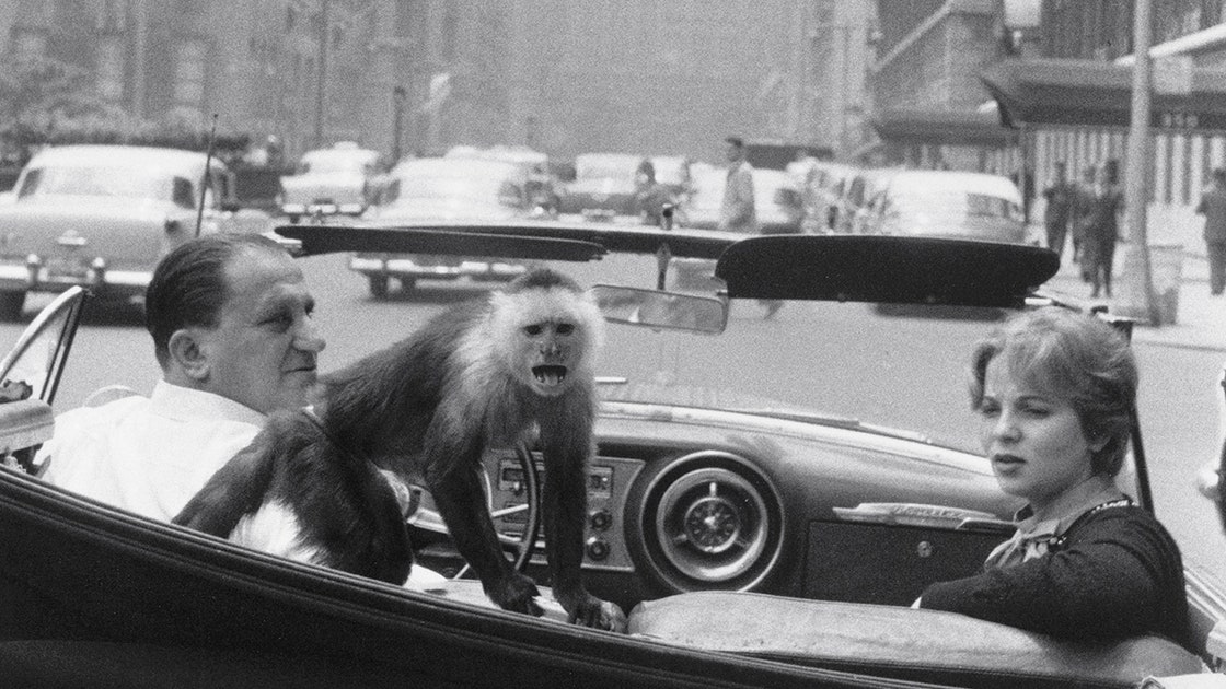 How Garry Winogrand Transformed Street Photography | The New Yorker