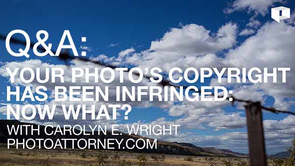 Answering Your Copyright Questions: What To Do If You’ve Been Infringed