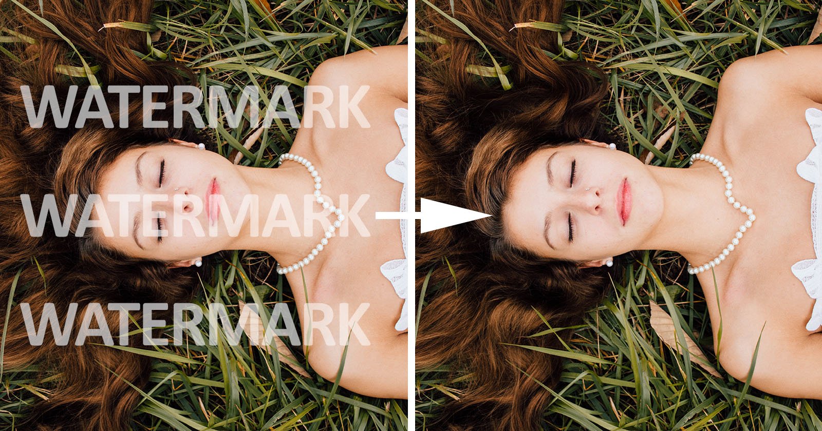 AI Can Easily Erase Photo Watermarks: Here’s How to Protect Yours