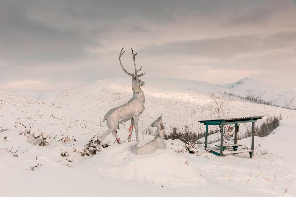 Cultural Changes at the Coldest Place on Earth — A Photo Story from Yakutsk – Photographs by Alex Vasyliev | Essay by Marigold Warner | LensCulture