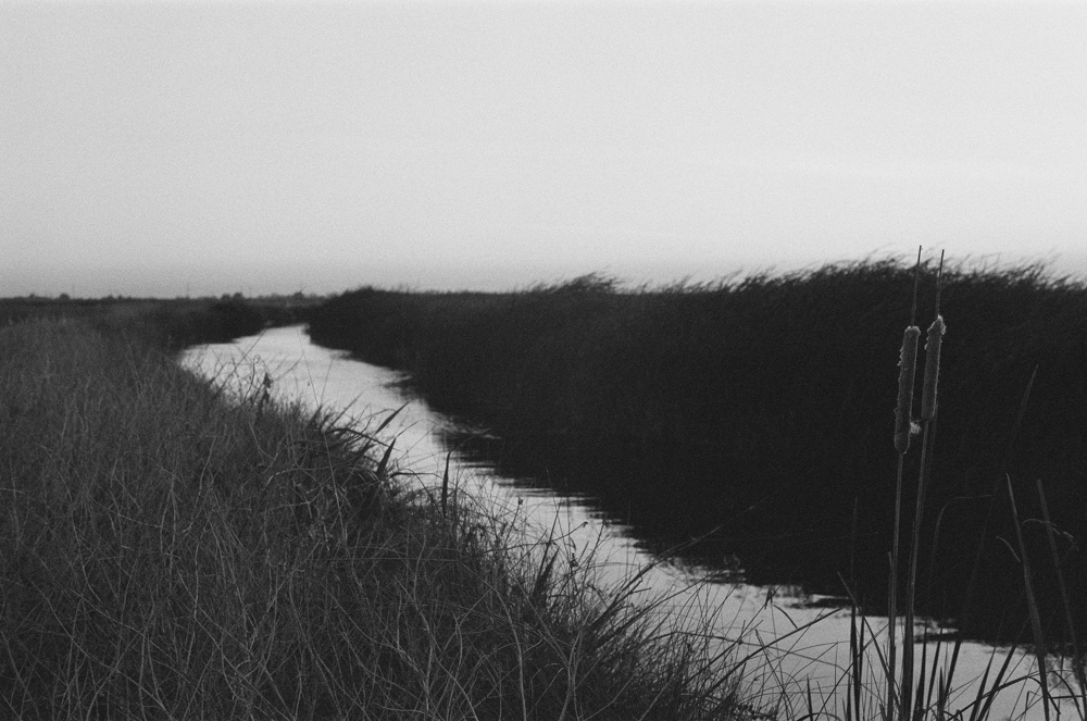 Benjamin Fargen: East Levee Road – LENSCRATCH